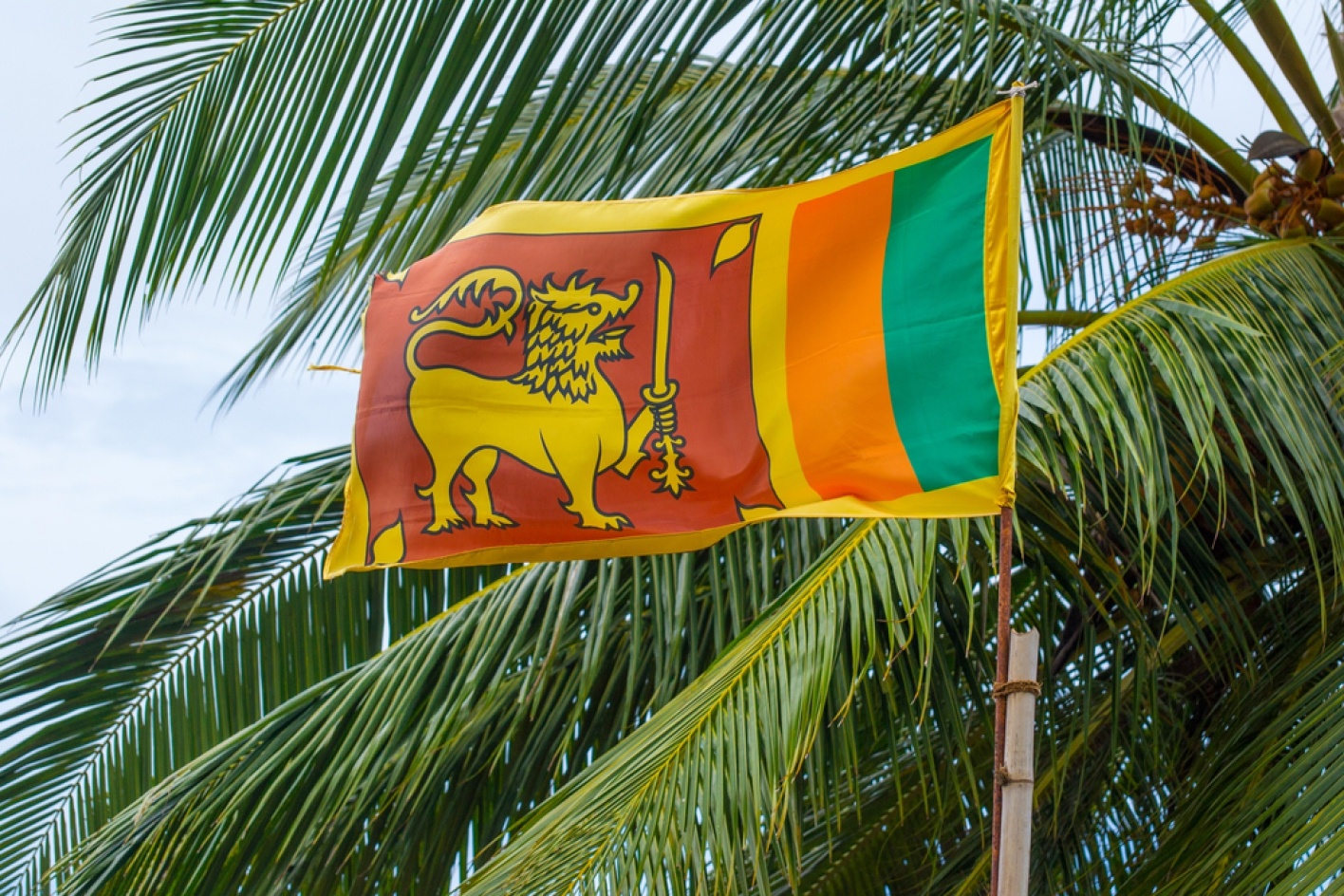 Получение образования по программам бакалавриата в 2022/2023 учебном году в Университете обороны имени генерала Джона Котелавалы (Шри-Ланка)